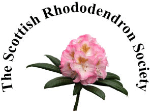 The Scottish Rhododendron Society Logo