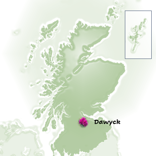 Screenshot 2024-11-21 151443