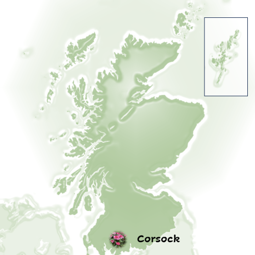 Screenshot 2024-11-21 152155