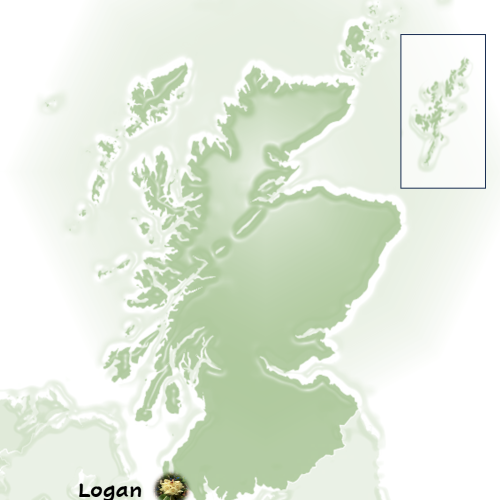 Screenshot 2024-11-21 152203