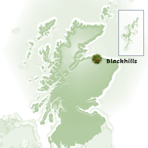 Screenshot 2024-11-21 152213