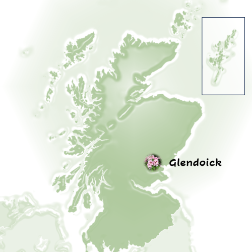 Screenshot 2024-11-21 152220