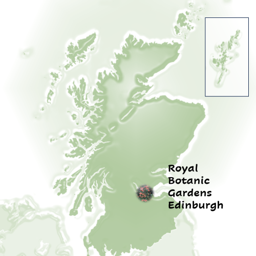 Screenshot 2024-11-21 152234