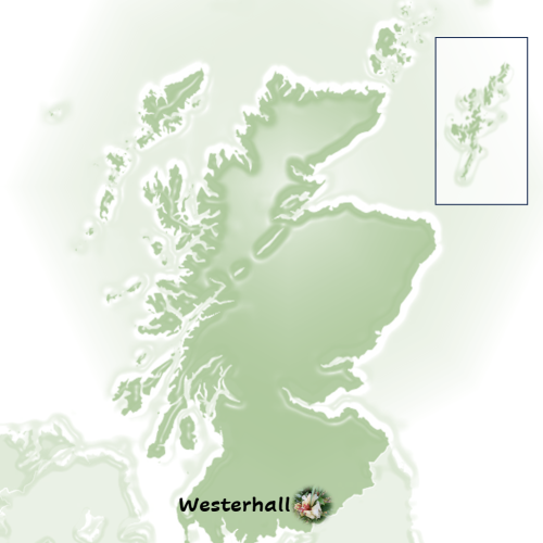 Screenshot 2025-05-29 214809